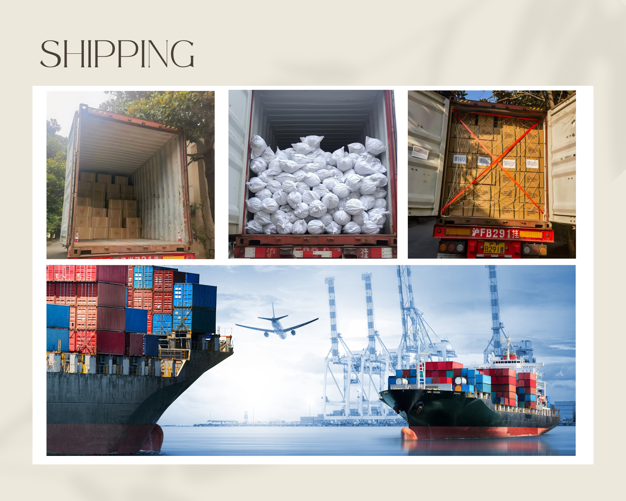 Shipping 251204谷歌